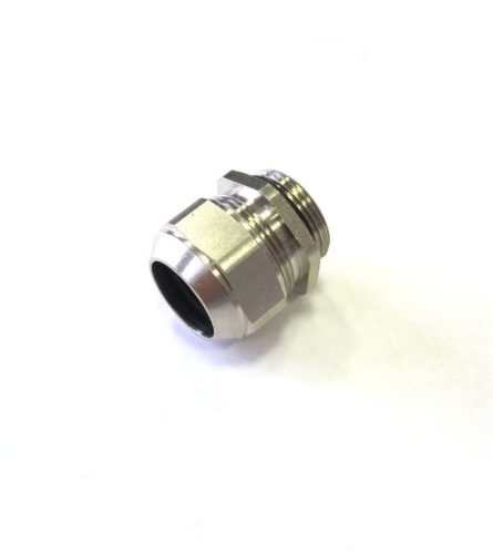 dławica mosiężna duża.jpg